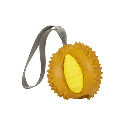 Funny Fruits Shape Pet Toy