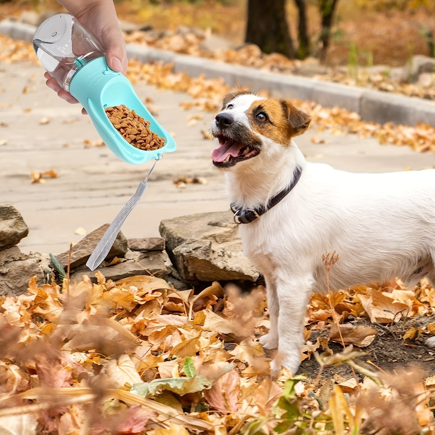 Portable Pet Water Bottle With Food Container