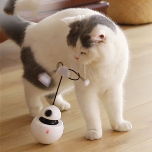 Laser Tease Cat Tumbler Toy